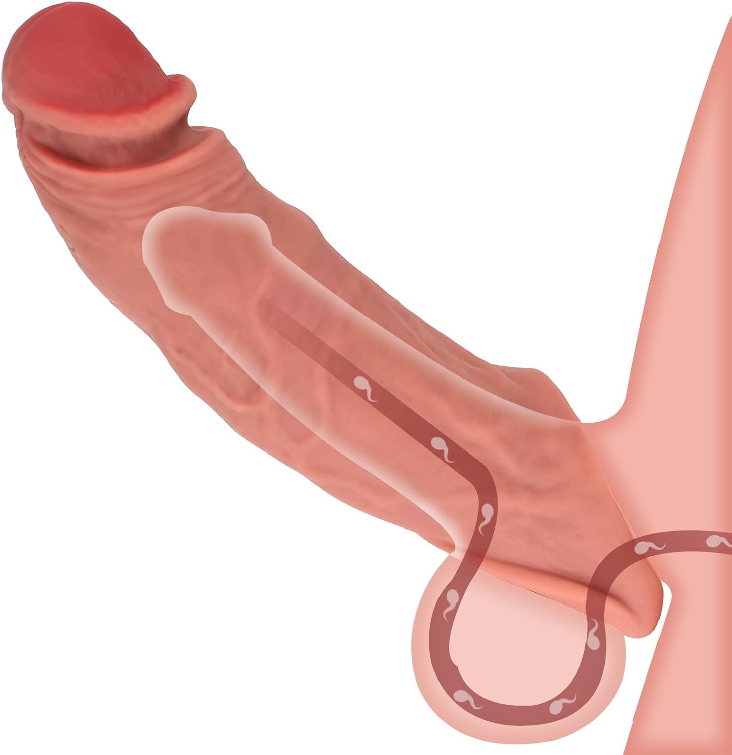 Silicone Cock Sleeve Review