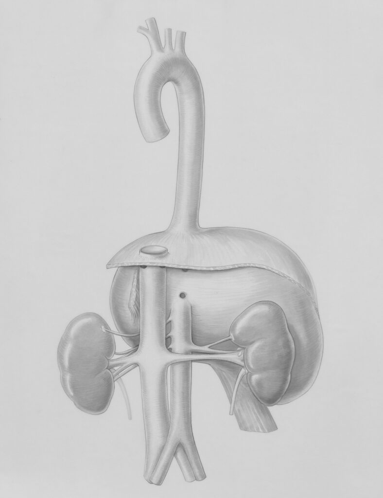 How Do Penis Pumps Work?